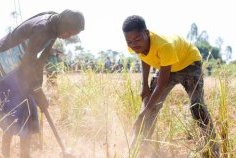 Afrique australe : des millions de personnes menacées par la faim alors que la période de soudure démarre