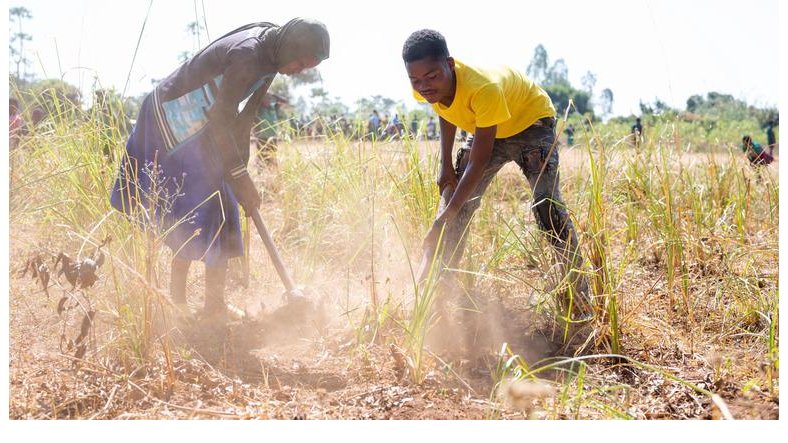 Afrique australe : des millions de personnes menacées par la faim alors que la période de soudure démarre